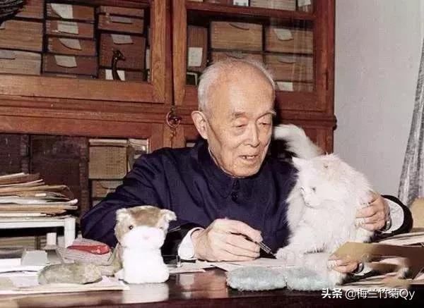 《人生》季羡林散文（《人生》季羡林散文摘抄）