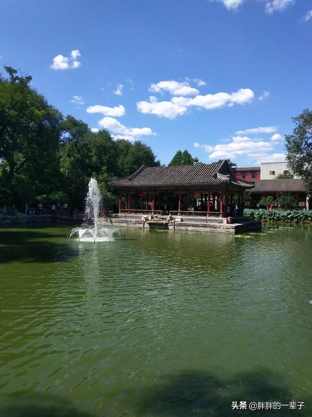 免广告能看电视剧高清版软件