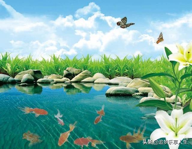 黑夜过后电影(黑夜过后电影ivo)